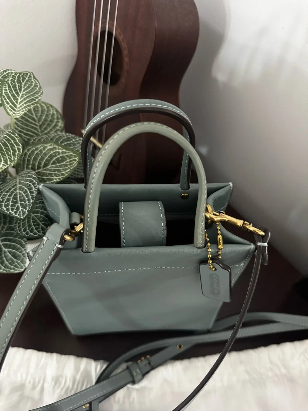 Coach Mini Cashin Carry Tote